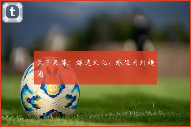 天下足球:球迷文化、球场内外趣闻