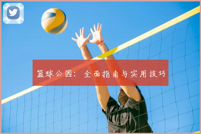 篮球公园：全面指南与实用技巧
